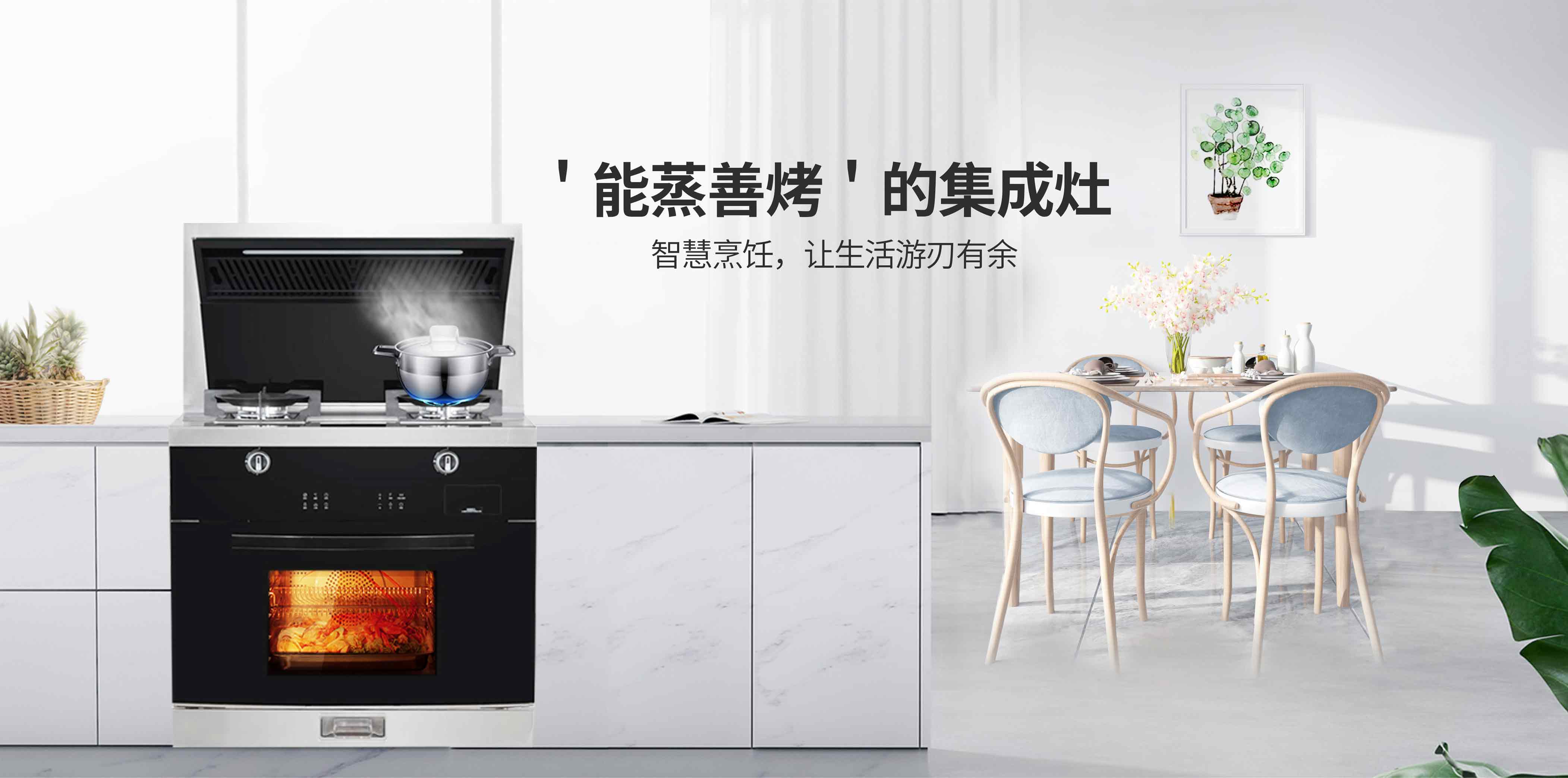 思利科電器，思利科廚電，思利科廚衛(wèi)電器，廣東思利科智能科技有限公司